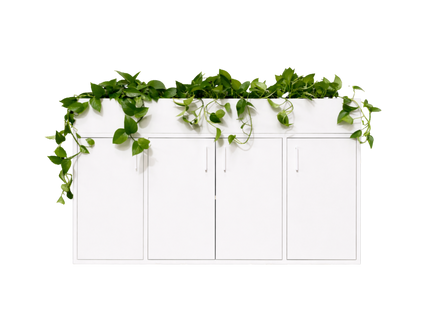 Plantenbak Groot Wit
