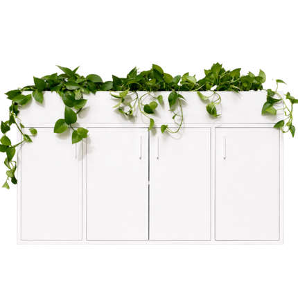 Collection image for: Kasten Xavi